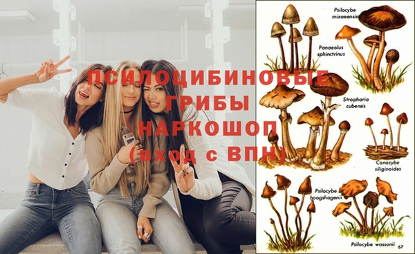 спайс Заволжск
