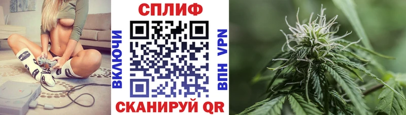 Купить  Борисоглебск  Канабис план 